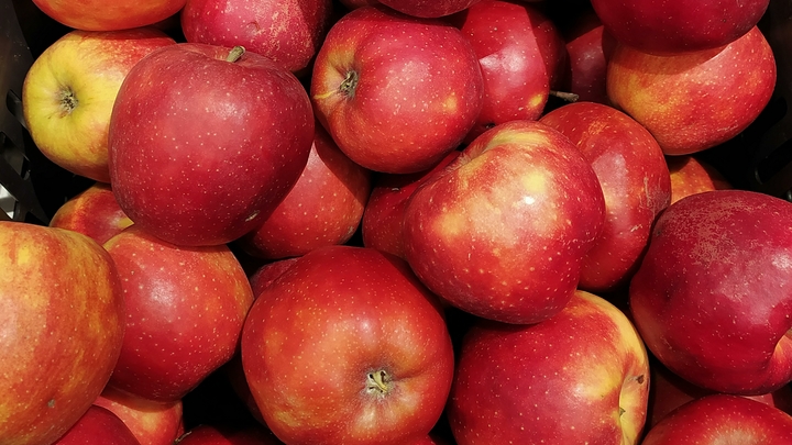 Безвредное яблоко? Врач призвала не губить печень фруктами