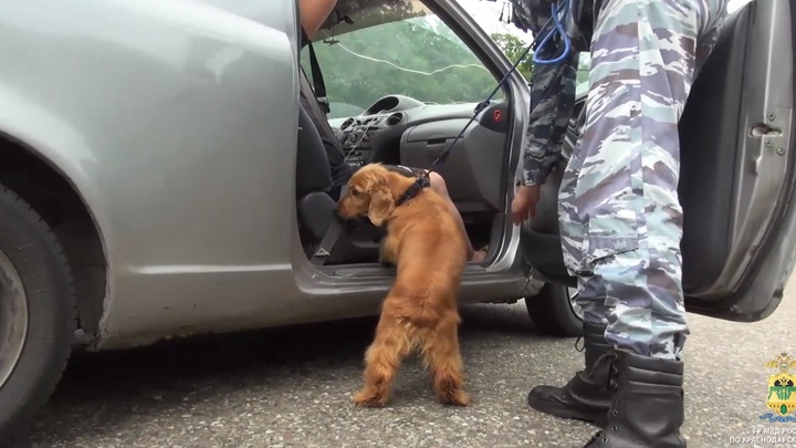 Наркодилер из Выселковского района получал зарплату в криптовалюте