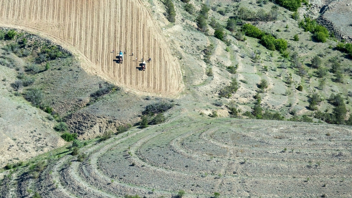 Массандру выставили на торги. Крым ожидает получить с продажи 6 млрд рублей