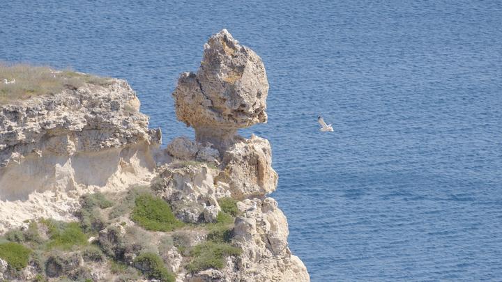 Власти Крыма ответили на неадекватное заявление Киева: Мы не употребляем