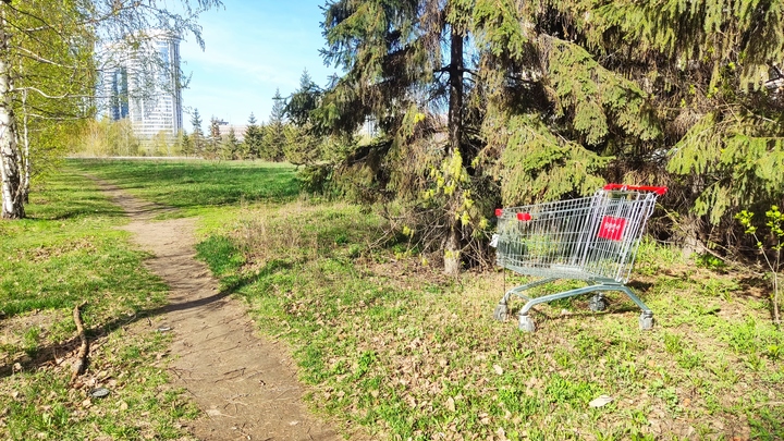 Новосибирску прогнозируют жару до +33 в выходные 3 и 4 августа