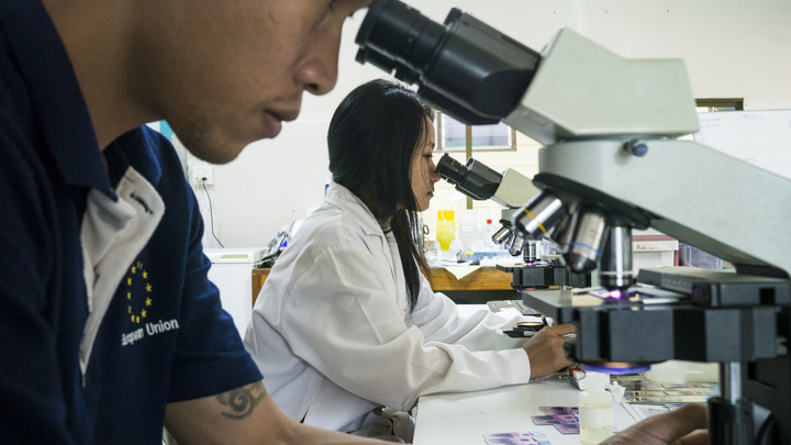 В России нашли способ выявлять рак за два года до диагноза: Нужен снимок