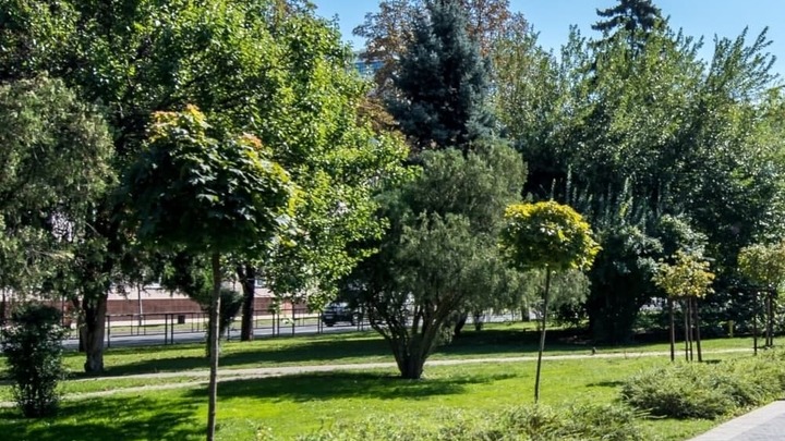 В Краснодаре озеленение улицы Красной выполнят с учётом мнения общественников и экологов