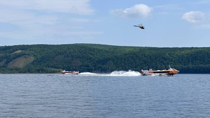 В Самарской области заявили о необходимости вдвое увеличить количество Валдаев