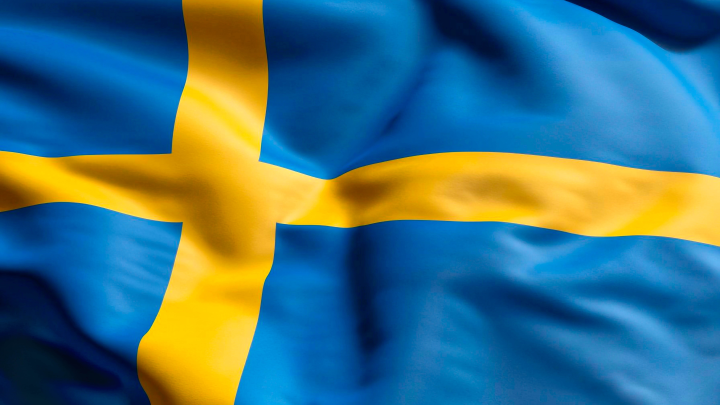 Министр здравоохранения Швеции Ланн потеряла сознание и упала со сцены во время пресс-конференции