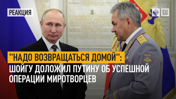 Надо возвращаться домой: Шойгу доложил Путину об успешной операции миротворцев