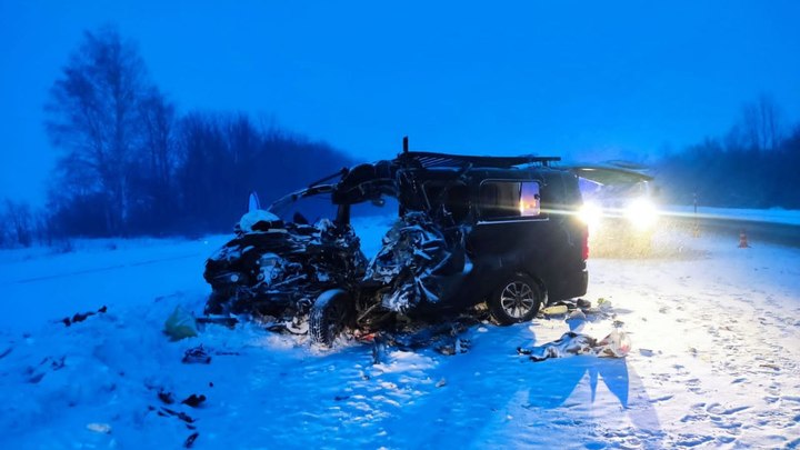 В ДТП в Пензенской области погибли восемь человек: столкнулись минивэн и грузовик