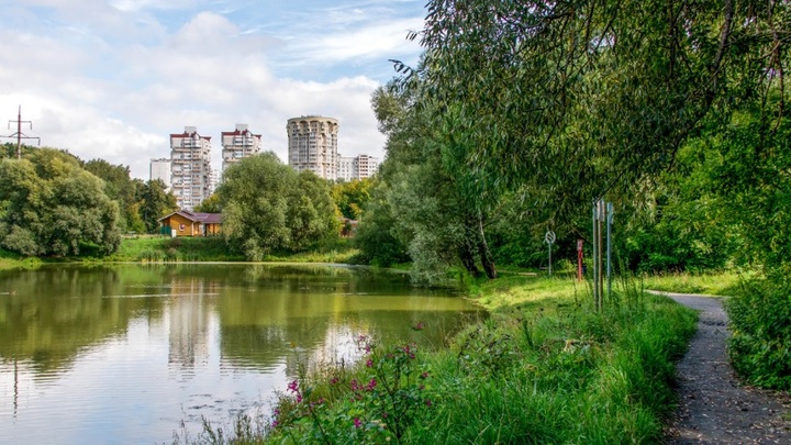 Сергей Собянин рассказал об истории и планах реабилитации Лосиного острова