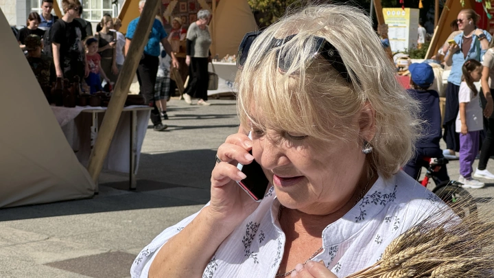 Ошибка в начислении стажа: Мошенники разработали хитрую схему, цель осталась прежней