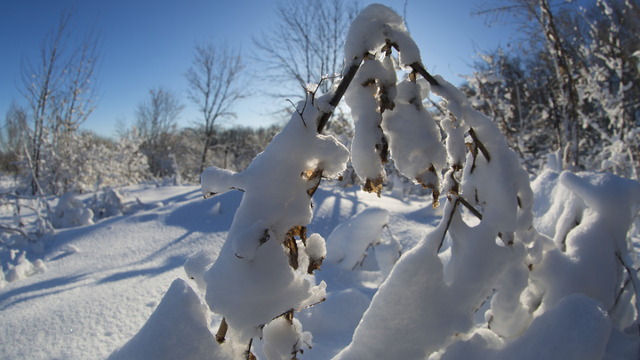 Что произошло 12 декабря: крушение в Сен-Мишель-де-Морьен и убийство Брайана Денеке