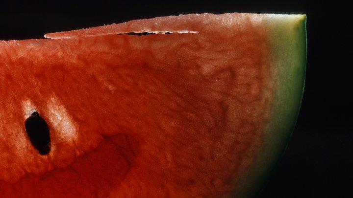 Арбузы в Антарктиде. Русские полярники получили первый урожай