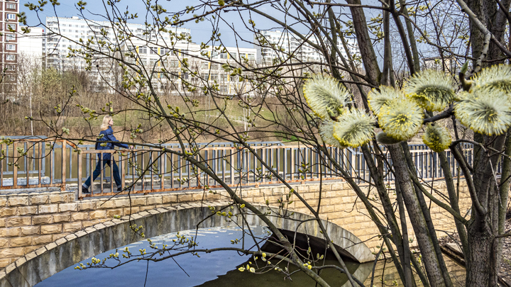 Тепло ворвётся в Москву всего на два дня: Синоптик назвал долгожданные даты