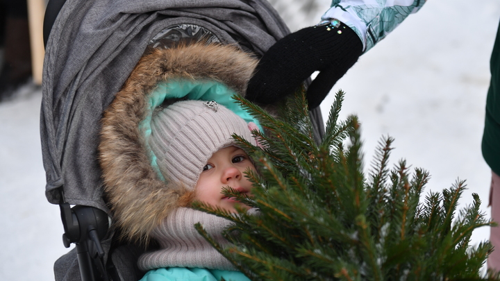 На Кубани во время новогодних праздников родились 14 двоен