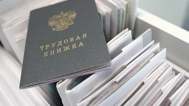 В России с 2025 года появится реестр работодателей с нелегальной занятостью