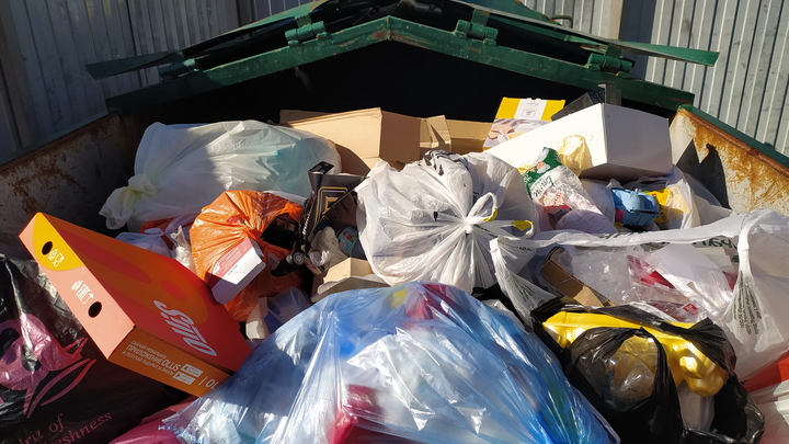 Мафия захватила целую отрасль в России под видом реформы: Связи во власти вскрыла эксперт