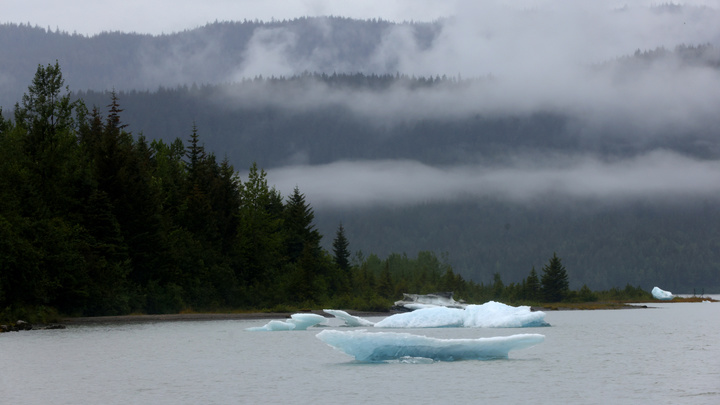 Запад в ужасе, а Путину смешно. Лучшие шутки с Чукотки