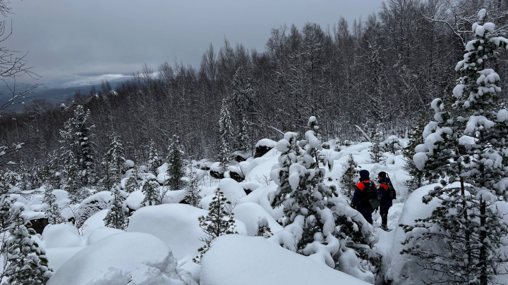 СК дал заявление: как прощальная записка и статус онлайн запутали историю семьи Усольцевых
