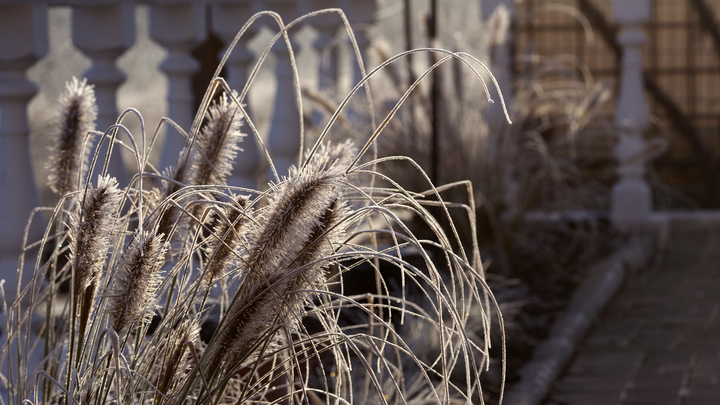 В Самарской области похолодает до -4