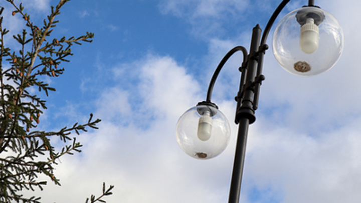 Сети уличного освещения на ул. Черкасской не принадлежат государству, но ремонтирует их мэрия