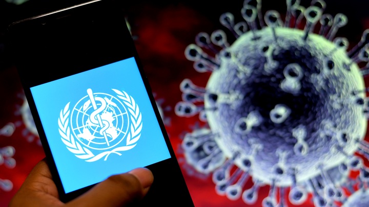 Контора полностью себя дискредитировала: Пронько о несбывшемся прогнозе ВОЗ