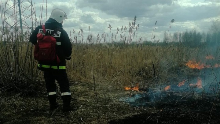 На Пасху владимирские пожарные шесть раз выезжали на палы сухостоя
