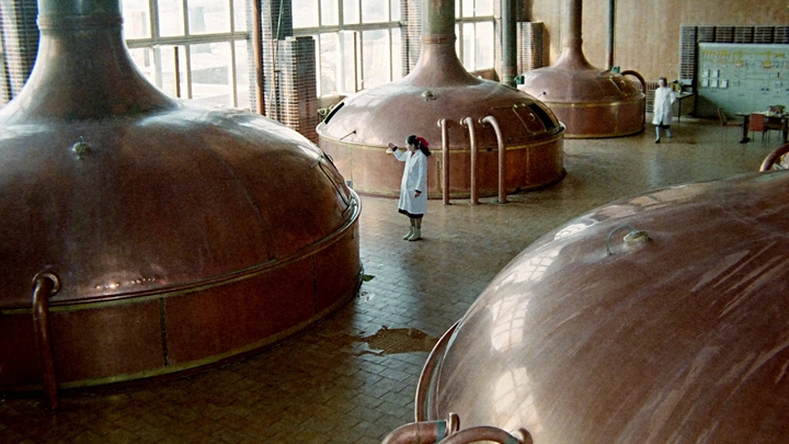 Бельгийцы задействовали ИИ для создания вкусного пива