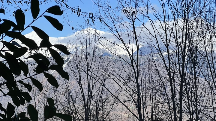 Ученые придумали экологичный способ добычи никеля