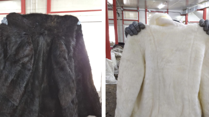 На мусорном полигоне под Челябинском нашли кучу шуб из натурального меха и дублёнок