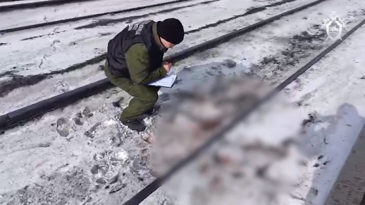 В Новосибирске электричка сбила школьницу на глазах у десятков пассажиров