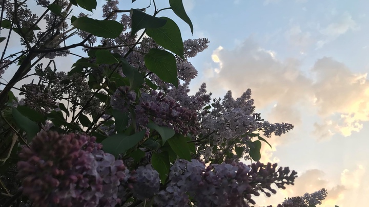 Тёплая погода будет радовать нижегородцев на этой неделе