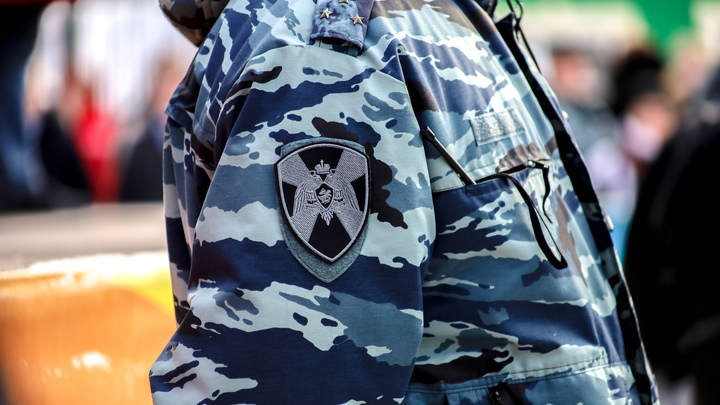 Вооруженные силовики в масках раздали повестки мигрантам в ТРЦ Гринвич