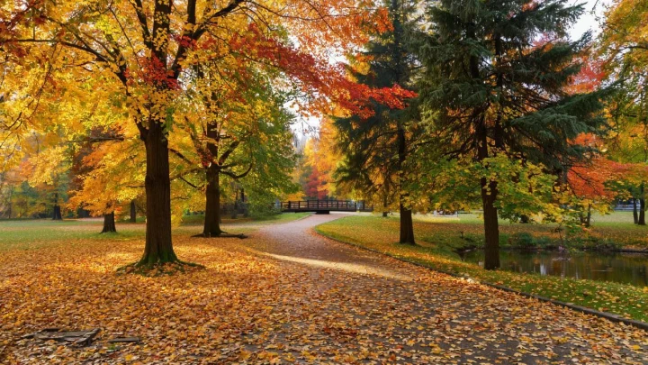 Ноябрьские каникулы: как превратить 3 дня праздника в 10 дней отдыха без потери зарплаты Ноябрьские каникулы: как превратить 3 дня праздника в 10 дней отдыха без потери зарплаты