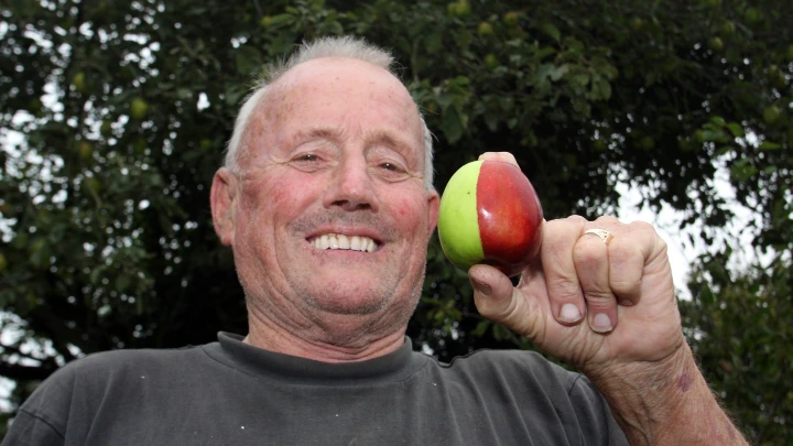 Американцы действительно другие: Русский и спустя 5 лет не смог привыкнуть к 6 странным привычкам местных