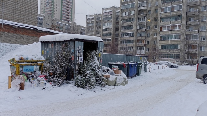 В полиции завели уголовное дело на руководителей Экологии-Новосибирск