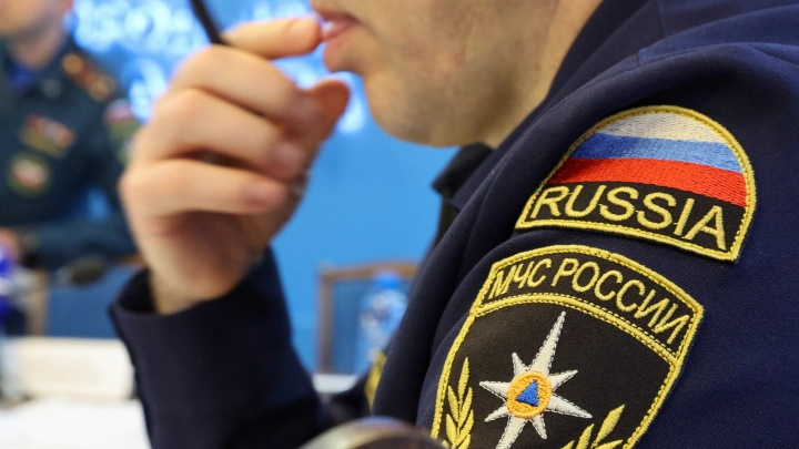 Поздравления с Днем дознавателя МЧС России: стихи и проза