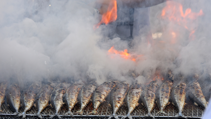 Русские могут не дождаться сайры в этом году: Виной тому стали флоты четырёх стран