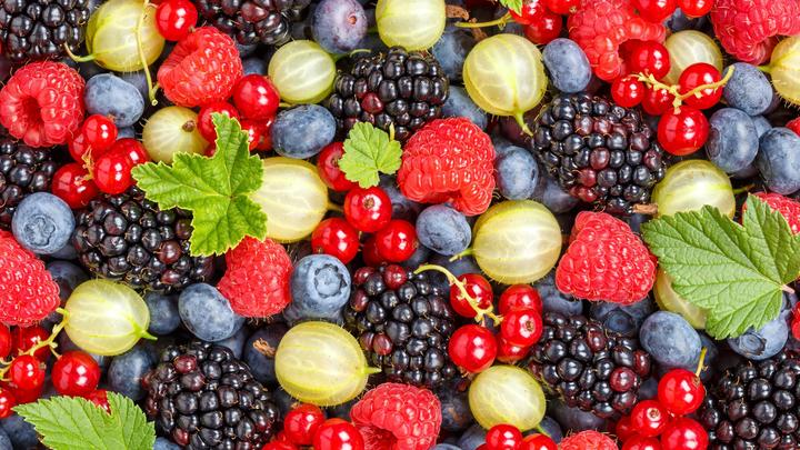 Натуральный - не всегда органический: В Роскачестве развеяли популярный миф о продуктах