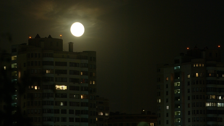 Фальшивый наследник присвоил квартиру умершего новосибирца