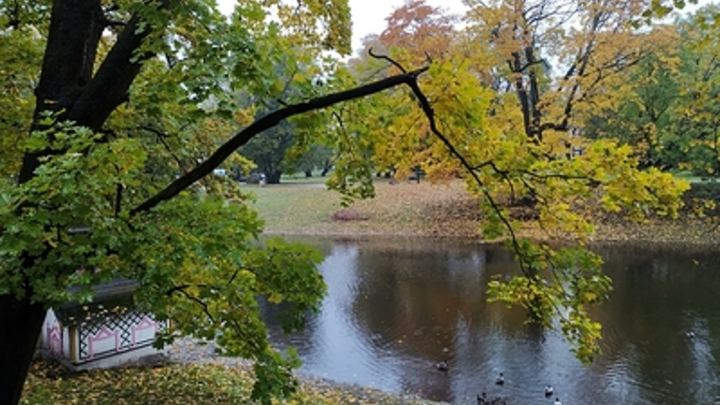 Народные приметы на 2 сентября 2024: что можно и нельзя делать в Самойлов день