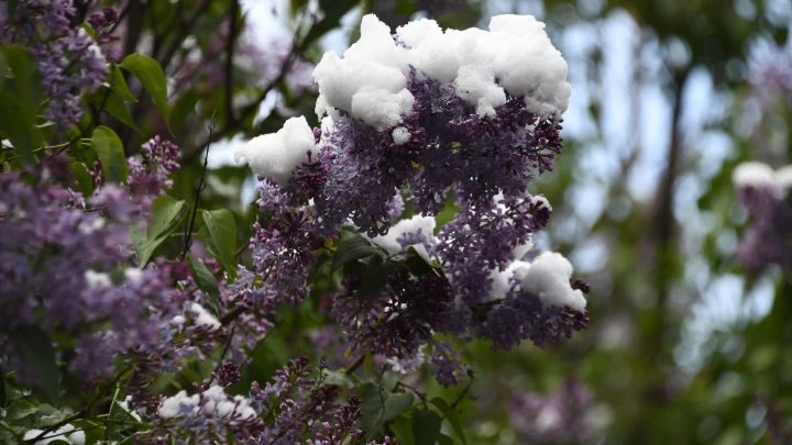 Жителей Новосибирской области напугали морозами до -35 градусов в марте
