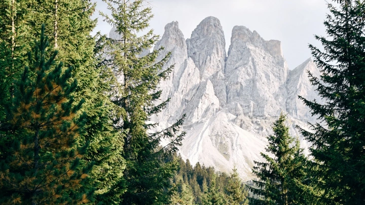 В Шотландии ребёнок выжил после падения с отцом со скал, но не дождался помощи