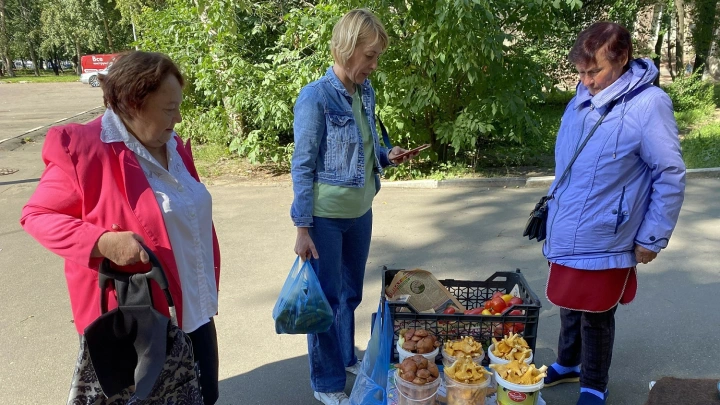 В Подмосковье в июне выросли осенние грибы