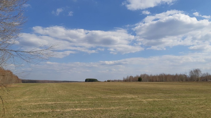 В Нижегородской области прогнозируют большие потери урожая ячменя и гороха