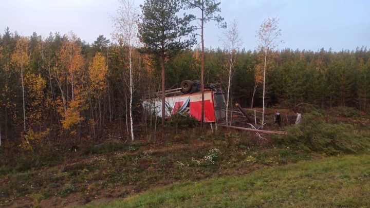 На М5 в Челябинской области лось устроил тройное ДТП с перевернувшимися
