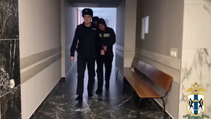 В Новосибирске предполагаемого виновника гибели шести человек в ДТП отправили в СИЗО