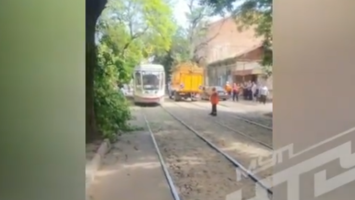 Сломанное дерево временно остановило движение трамваев в Краснодаре
