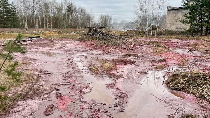 Апрельский разлив химикатов в Петушках обернулся уголовным делом