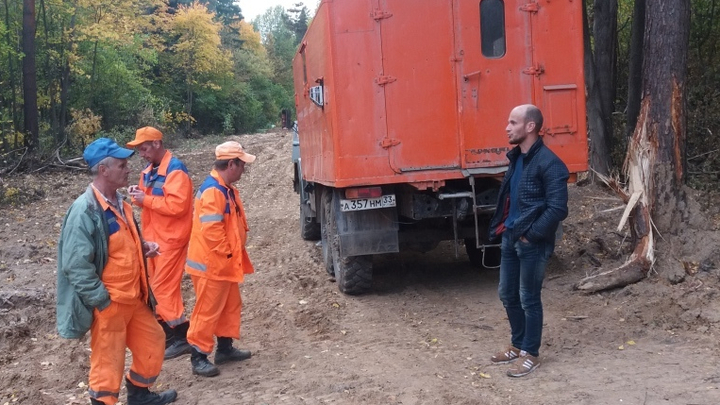 За вырубку деревьев в парке Дружба на Владимирводоканал завели административное дело