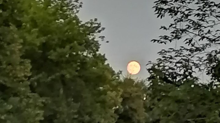 Полнолуние 13 июля 2022 года: что можно делать и что запрещено во время суперлуния