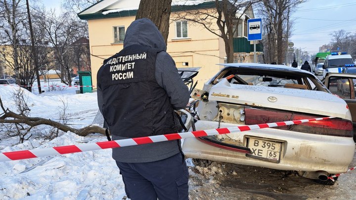 Следком возбудил уголовное дело после смертельного ДТП на остановке в Южно-Сахалинске